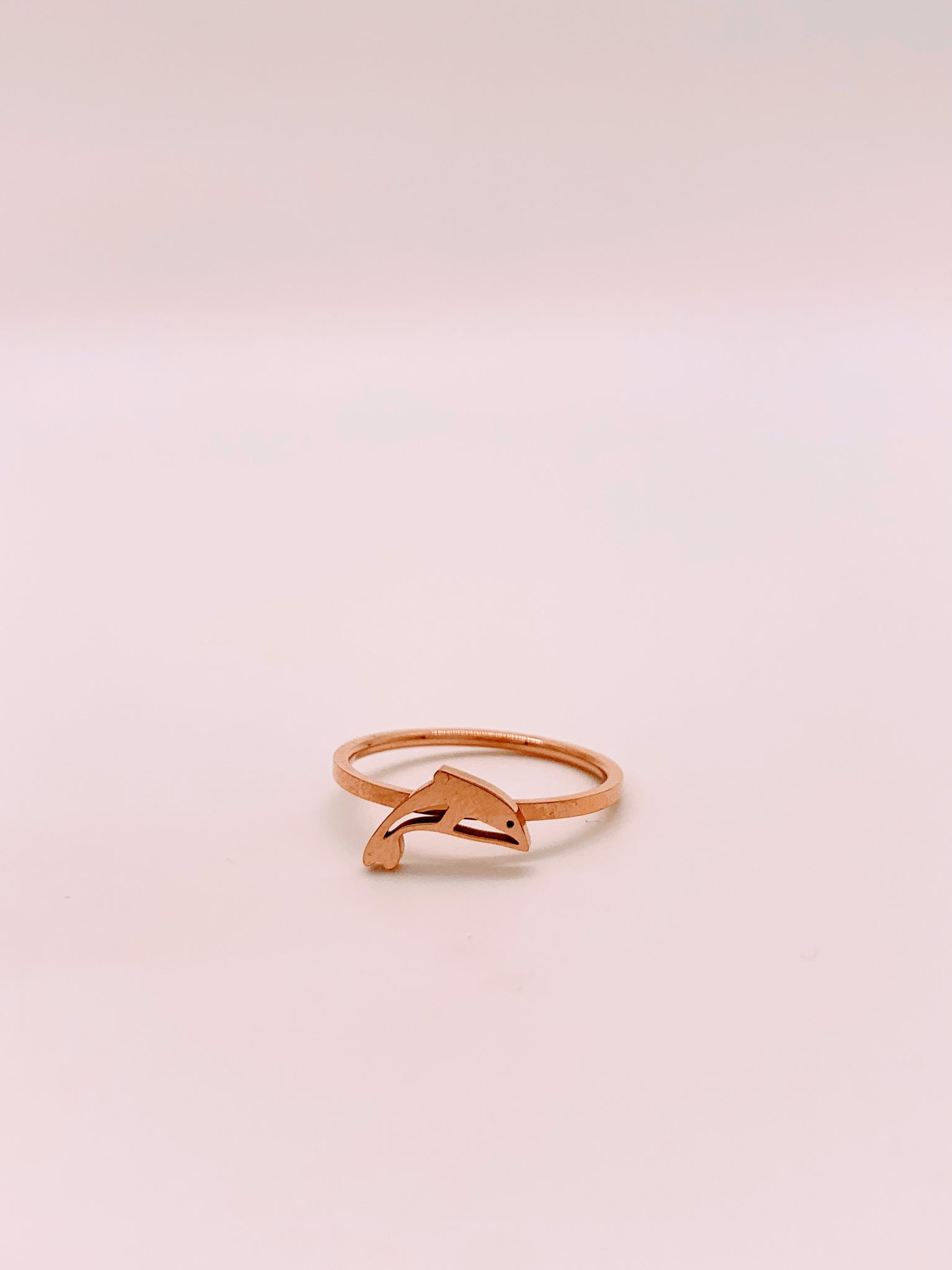 Anillo de Delfin